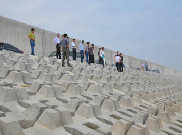 1560438112615827.jpg 1560438112615827.jpg